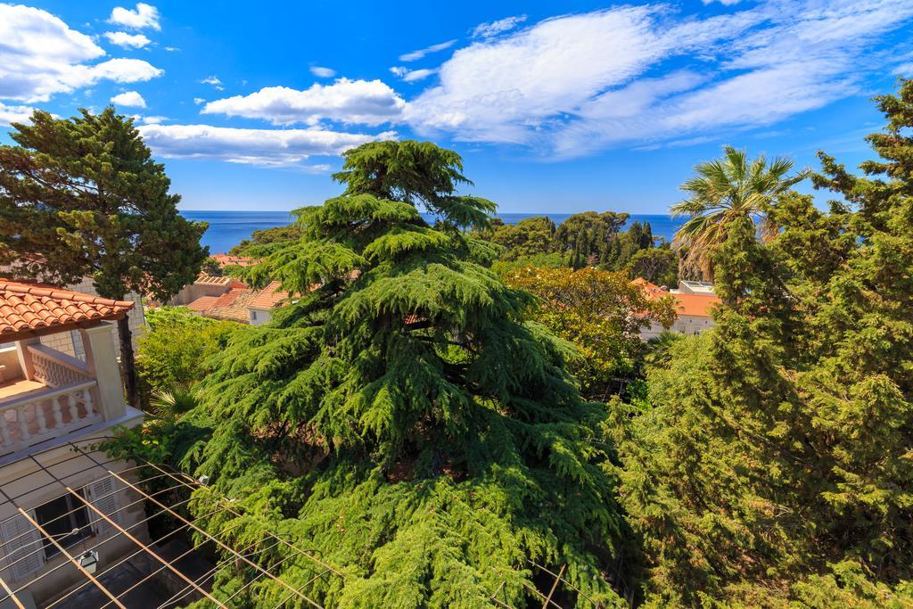 Hedera Estate, House Hedera V Villa Dubrovnik Eksteriør bilde