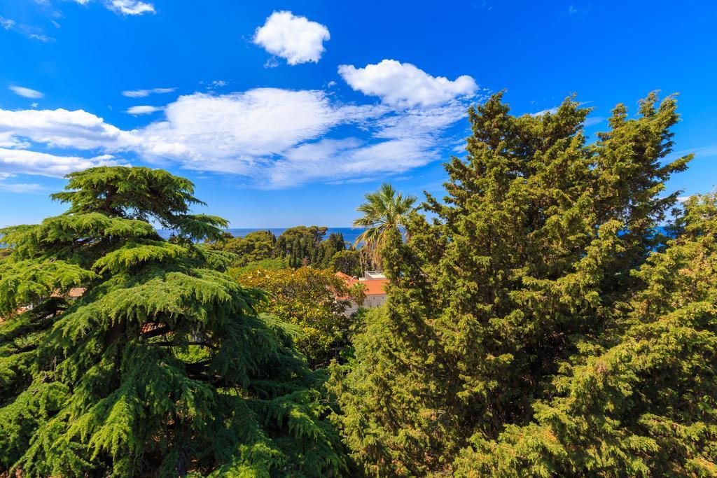 Hedera Estate, House Hedera V Villa Dubrovnik Eksteriør bilde